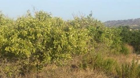 Foto 2 de Terreno en venta en Madronyal, 140, Monte Real, Torrent