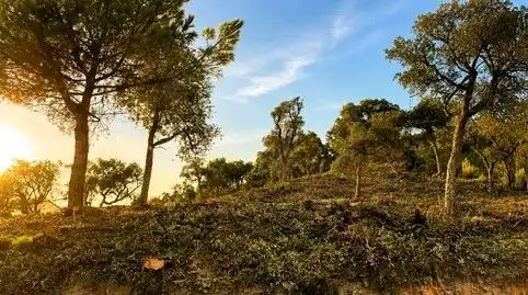 Wohnbaugrundstück zum Verkauf in Lloret Verd - Els Pinars, imagen 4