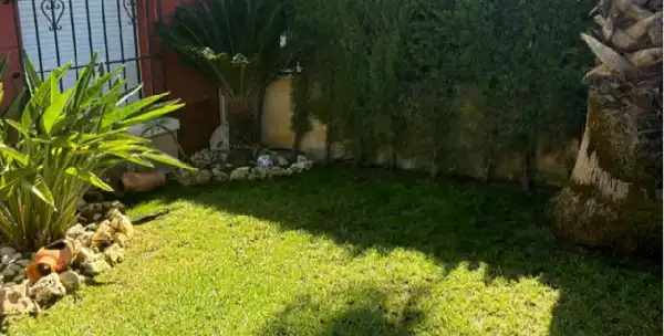 Erdgeschosswohnung mit Pool zum Verkauf in Nueva Torrevieja - Aguas Nuevas, imagen 6