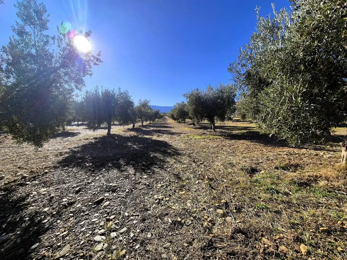 Terreno rústico en venta en Lanteira, imagen 6