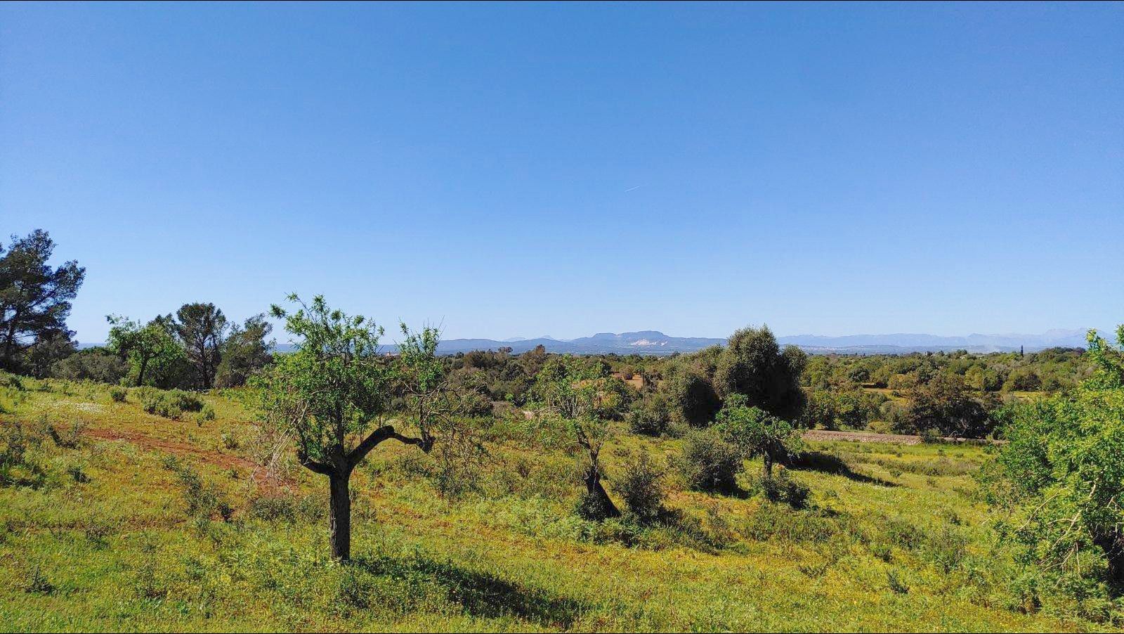 Residencial en venda en Felanitx