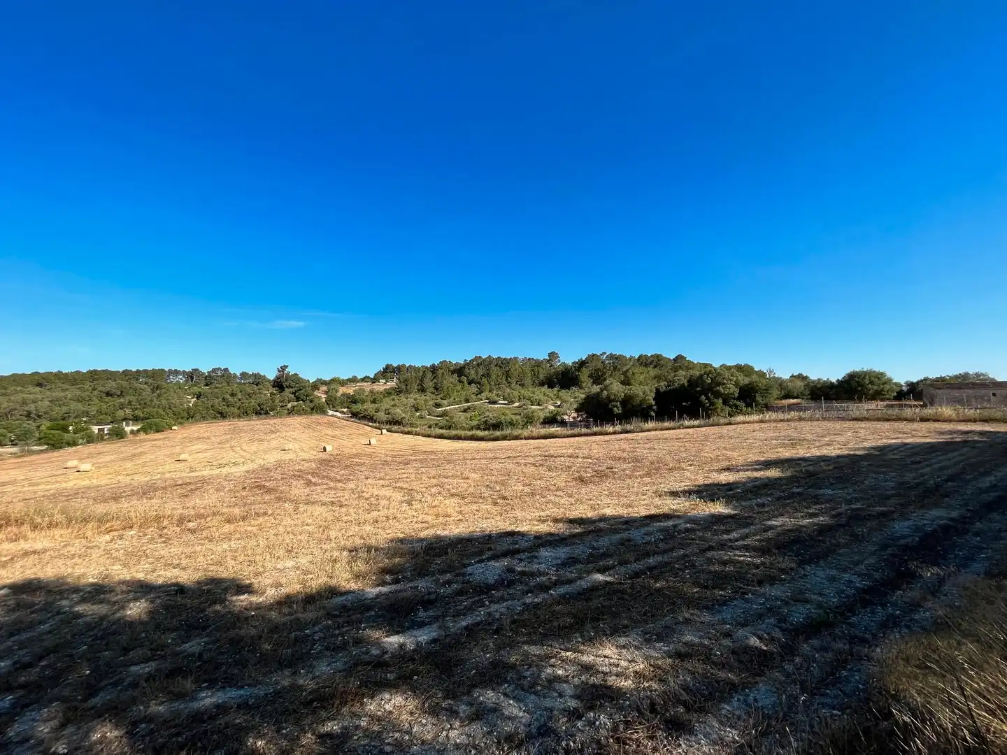 Finca rústica en venta en Sant Joan