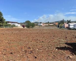Finca rústica en venda en Tacoronte
