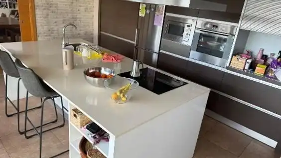 House with pool for sale in Calle PINTOR FILLOL, imagen 4