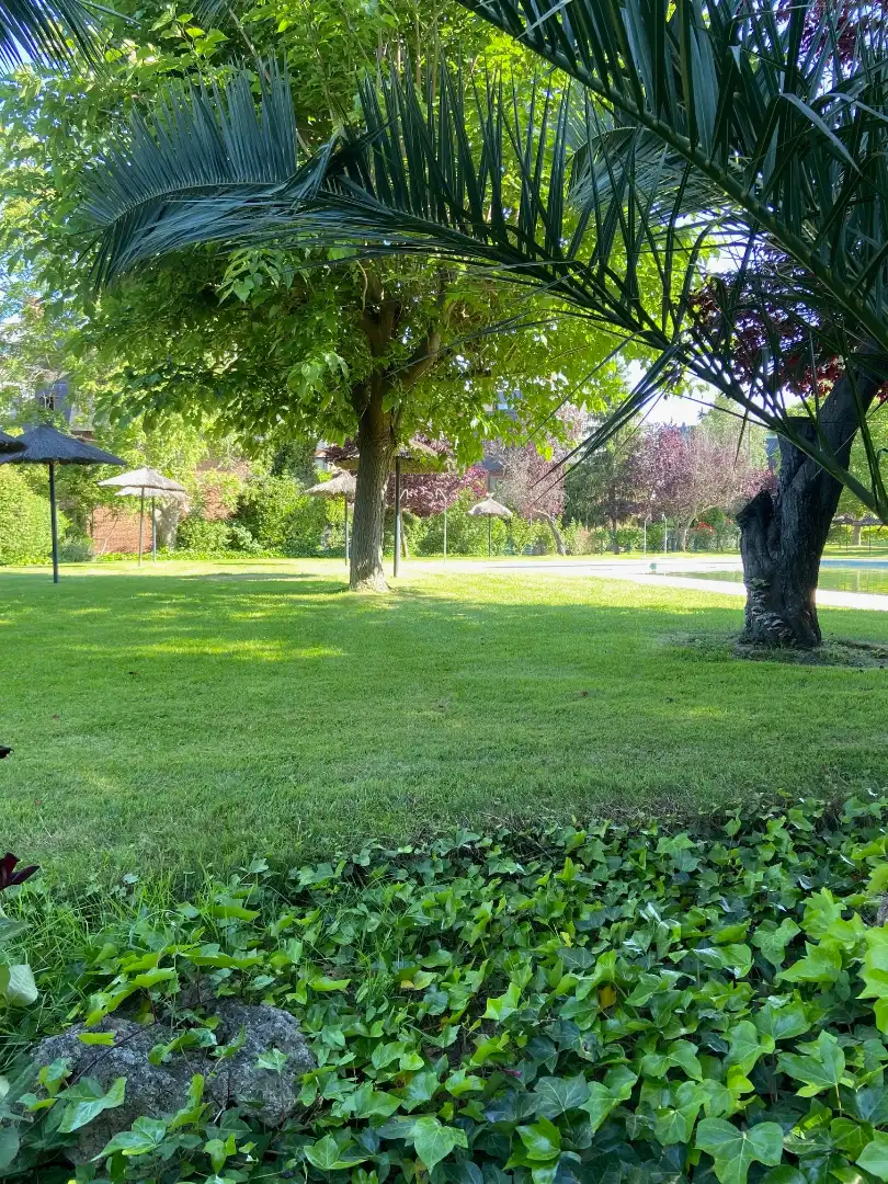 Wohnung zum Verkauf in Avenida Claveles, Zona Carretera del Plantío