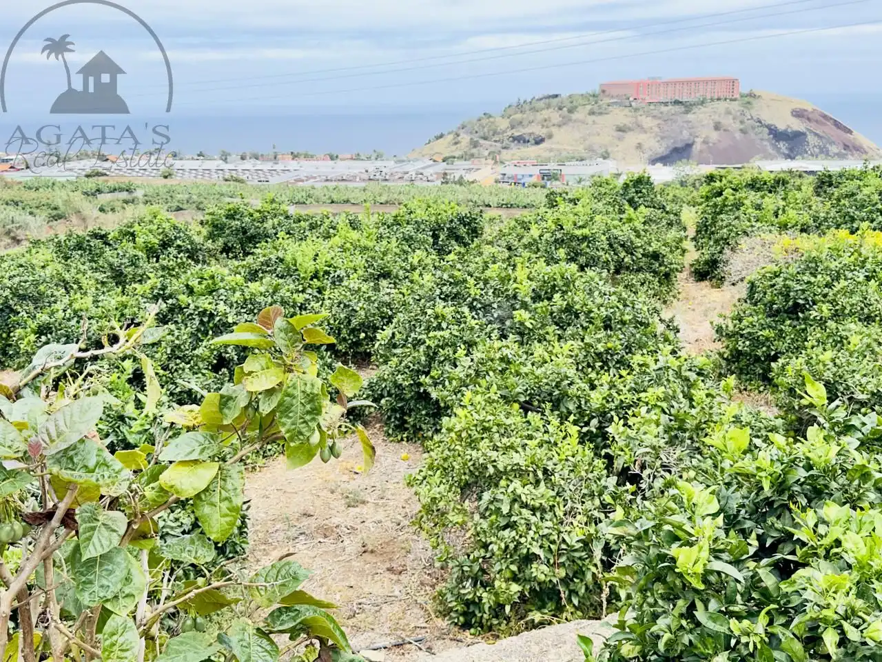 Finca rústica en venta en La Orotava con Jardín privado y Terraza