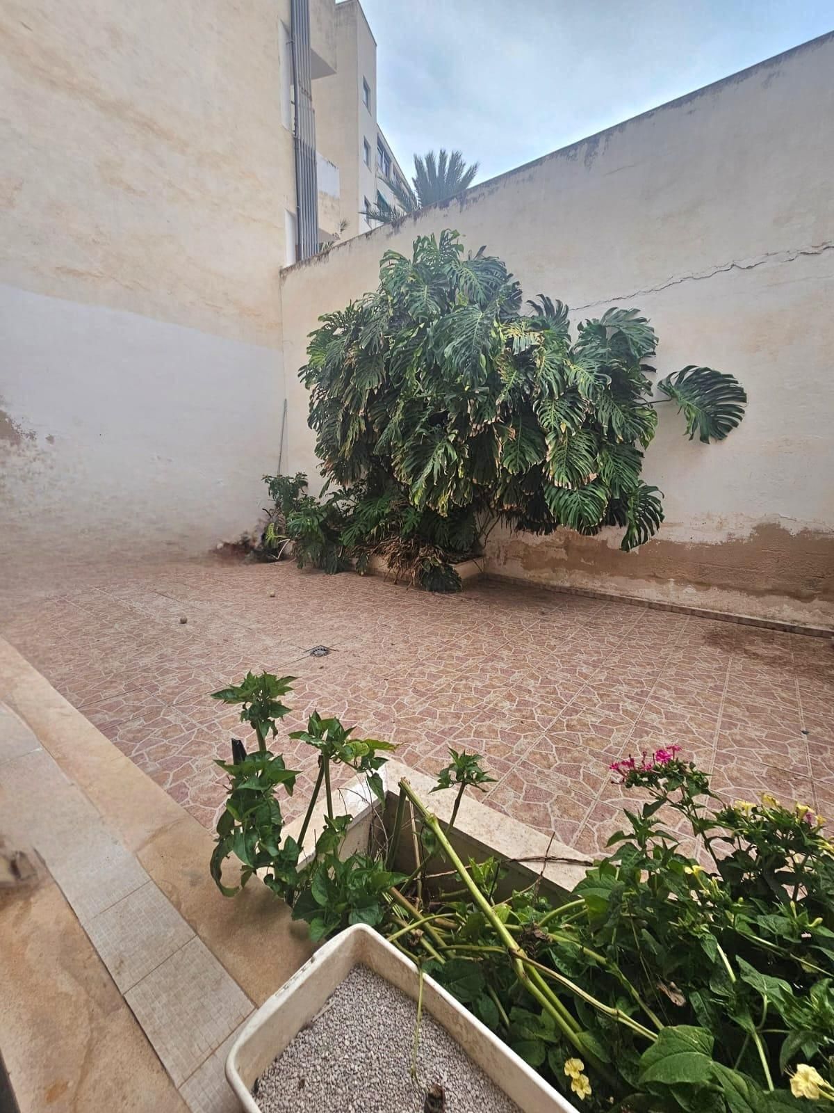 Garden of Planta baja for sale in  Palma de Mallorca  with Terrace