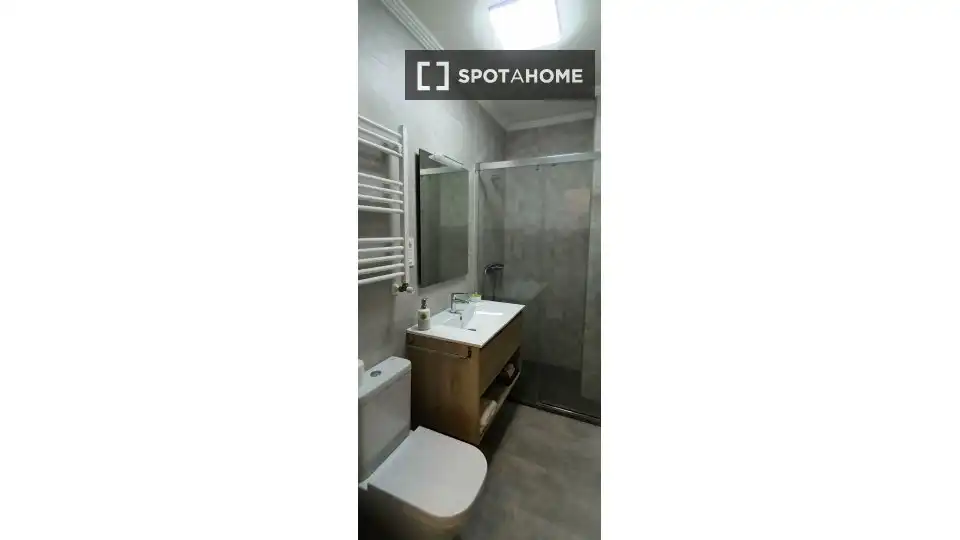 Bany de Apartament per a compartir en Bilbao  amb Aire condicionat, Calefacció i Terrassa