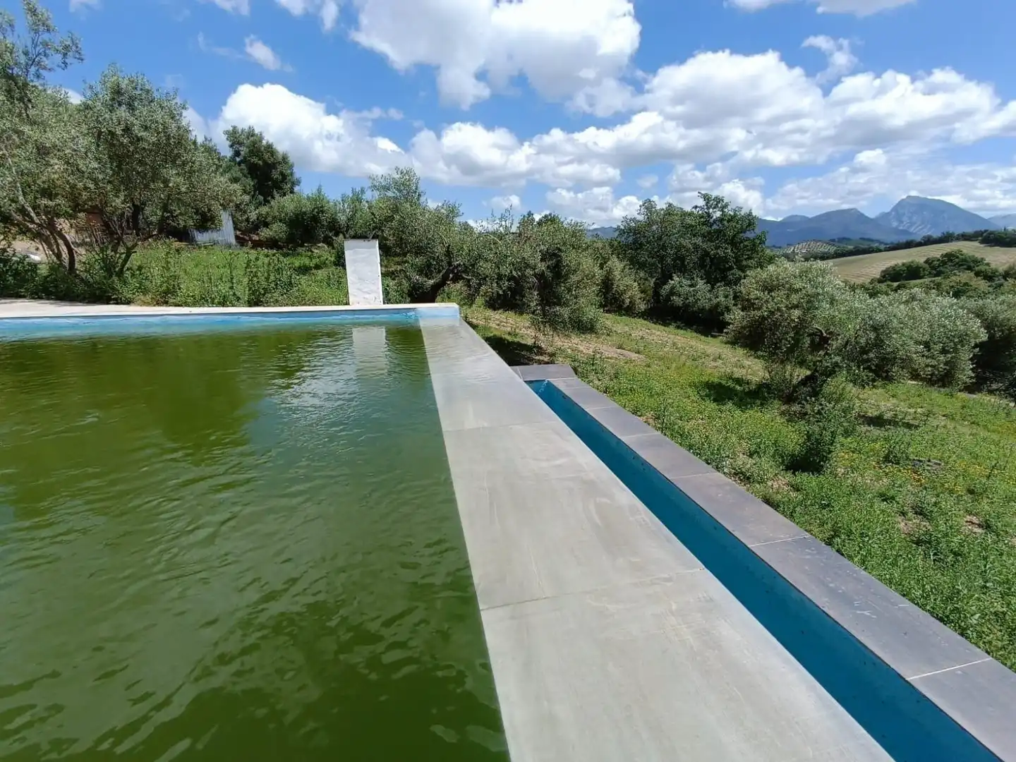 Swimming pool of Residential for sale in Prado del Rey