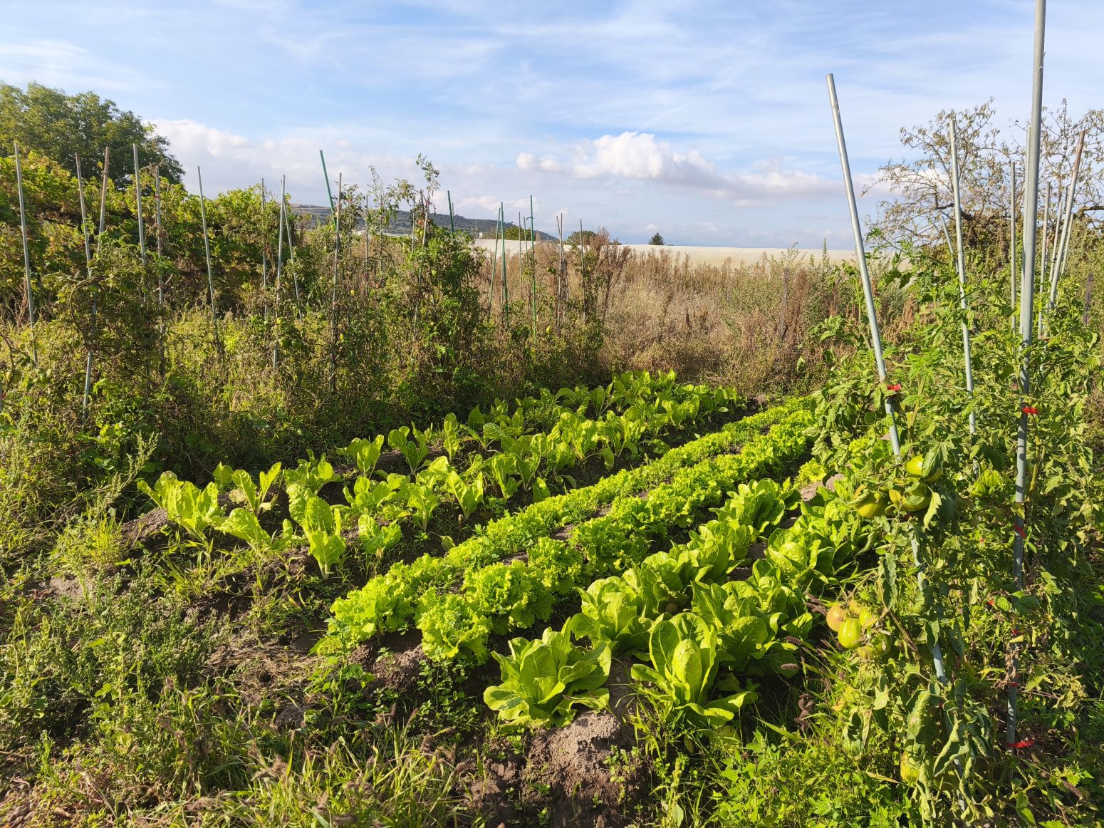 Jardí de Residencial en venda en  Logroño