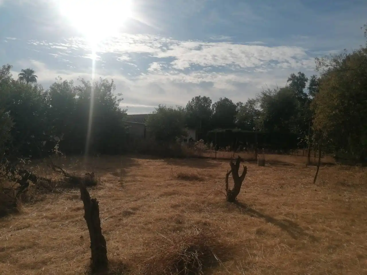 Casa o xalet en venda en Carmona amb Jardí privat