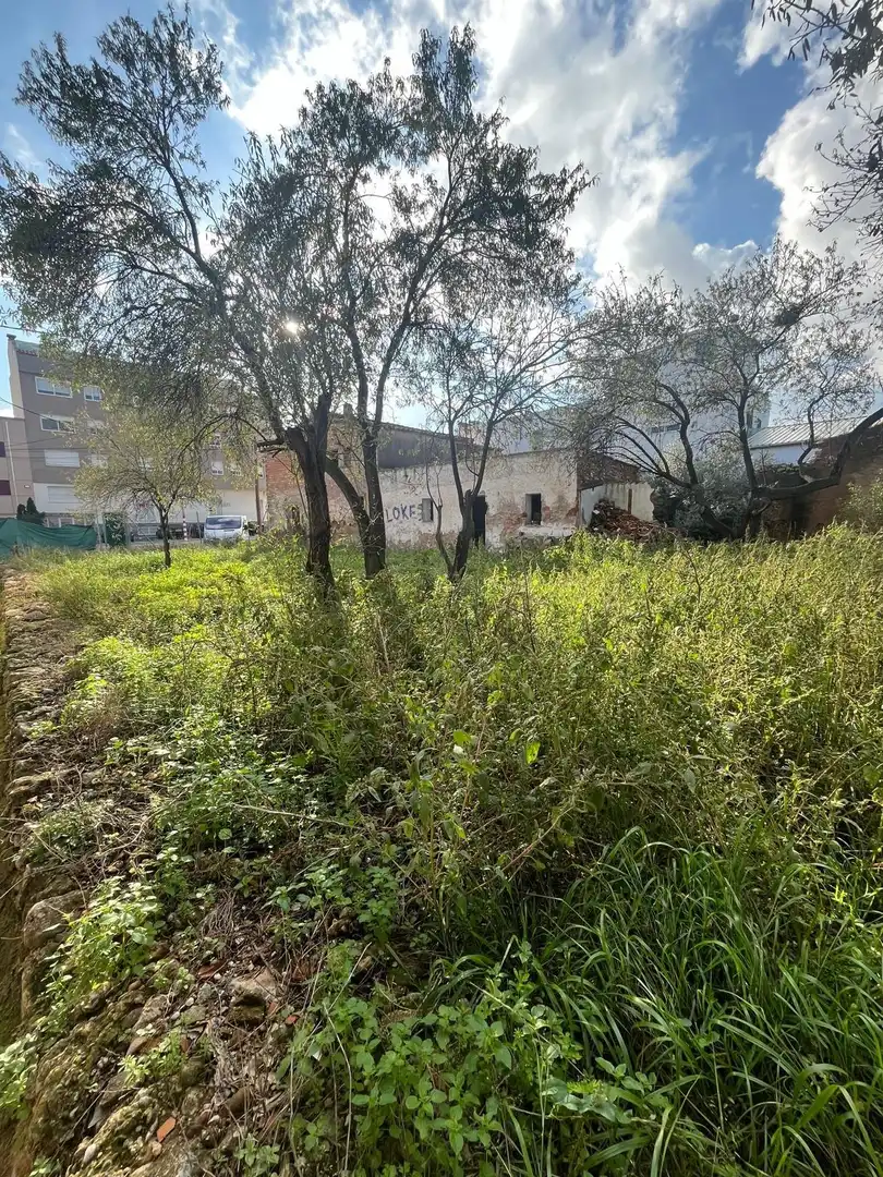 Terreny residencial en venda a Oeste, imagen 19
