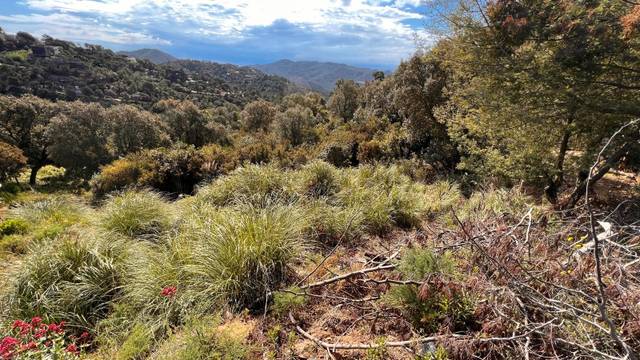 Terreno residencial en Venta en Avinguda Rafael Albertí, 46 en Lloret Residencial - Montlloret