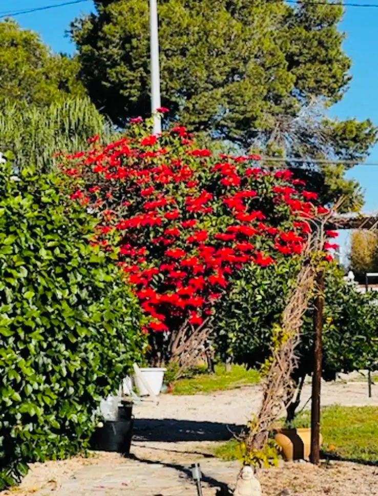 Chalet con terraza en venta en La Xara - La Sella, imagen 10