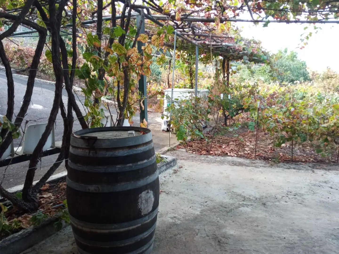 Terreno rustico in vendita a Las Cuevas - Los Gómez, imagen 19