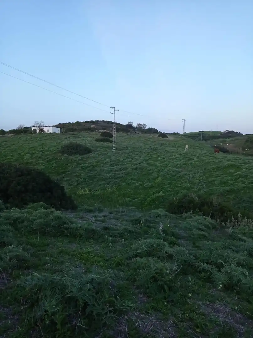 Terreny residencial en venda a Medina Sidonia, imagen 5