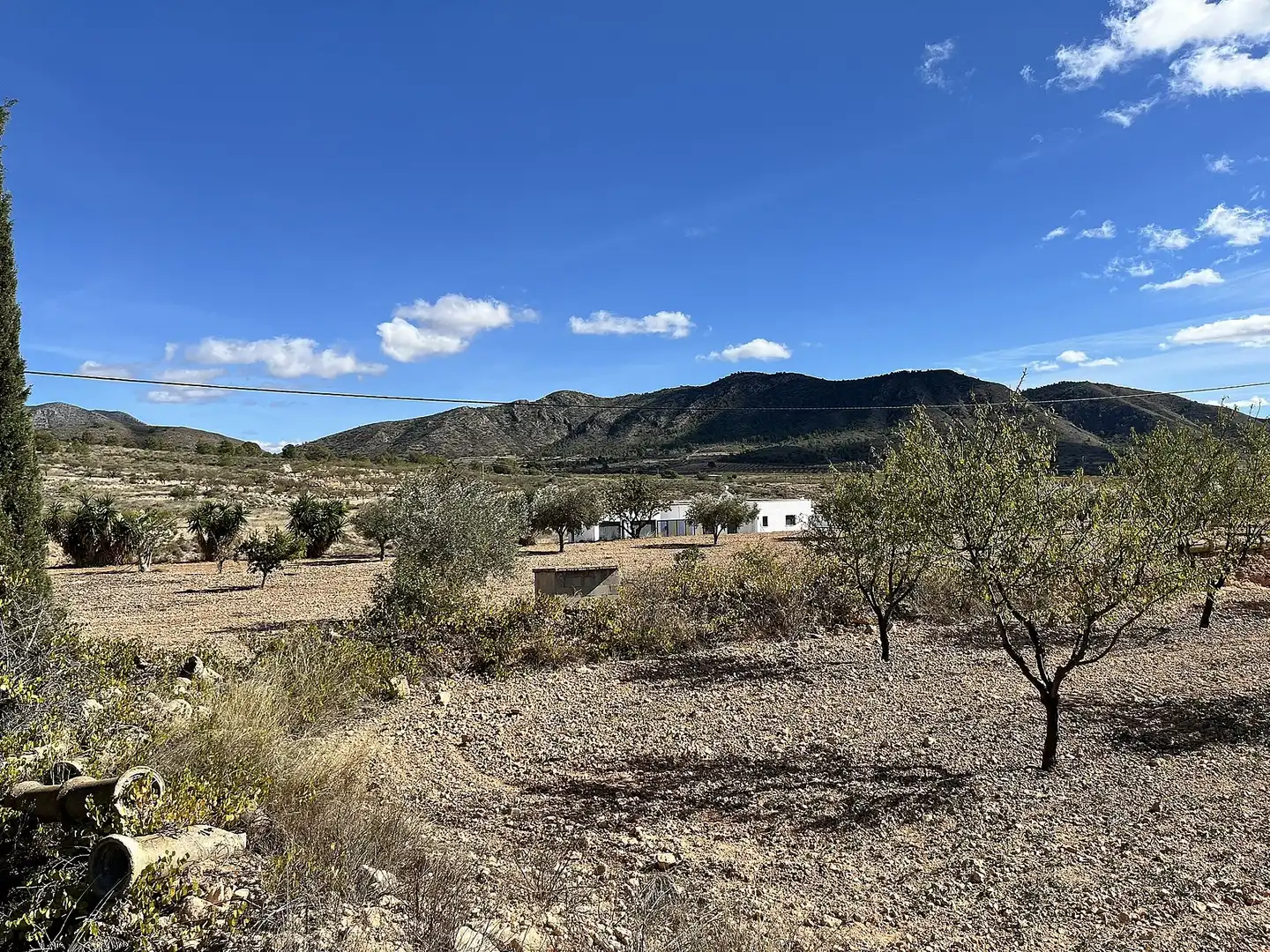 Landhaus zum Verkauf in La Murada - Los Vicentes, imagen 46