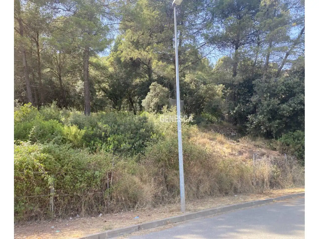 Wohnbaugrundstück zum Verkauf in Camino Font de la Tartrana 85, imagen 12