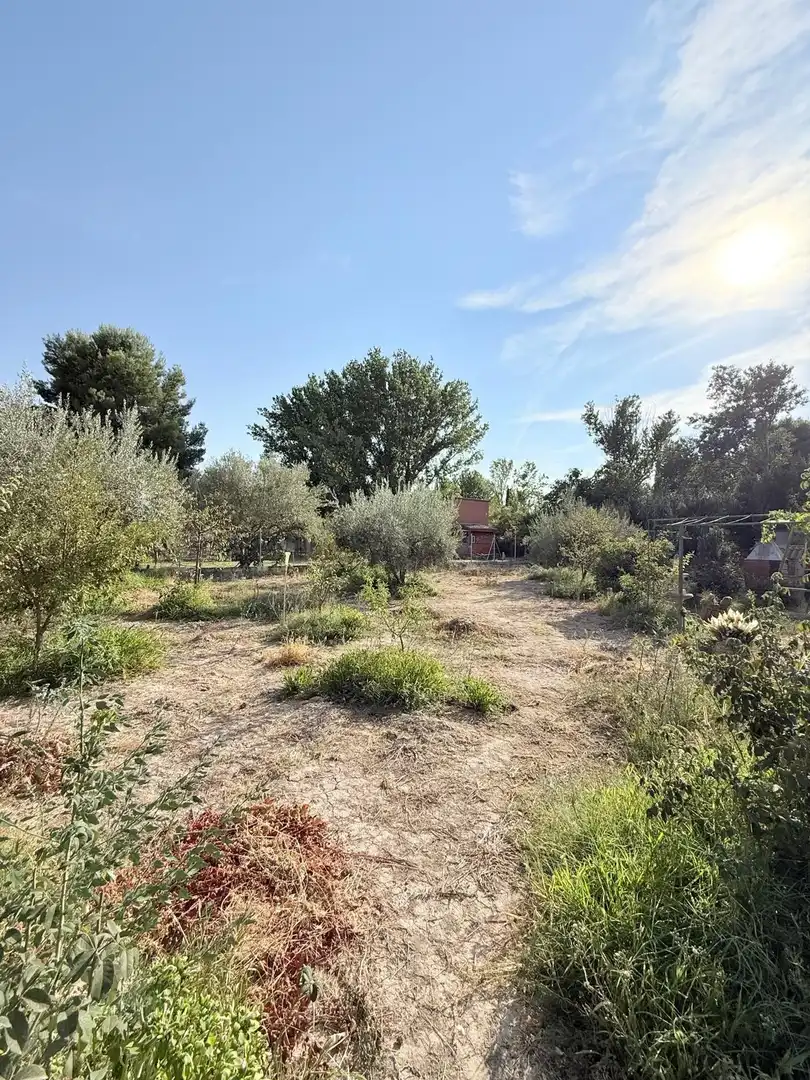 Terrain rustique à vendre à Cadrete, imagen 19