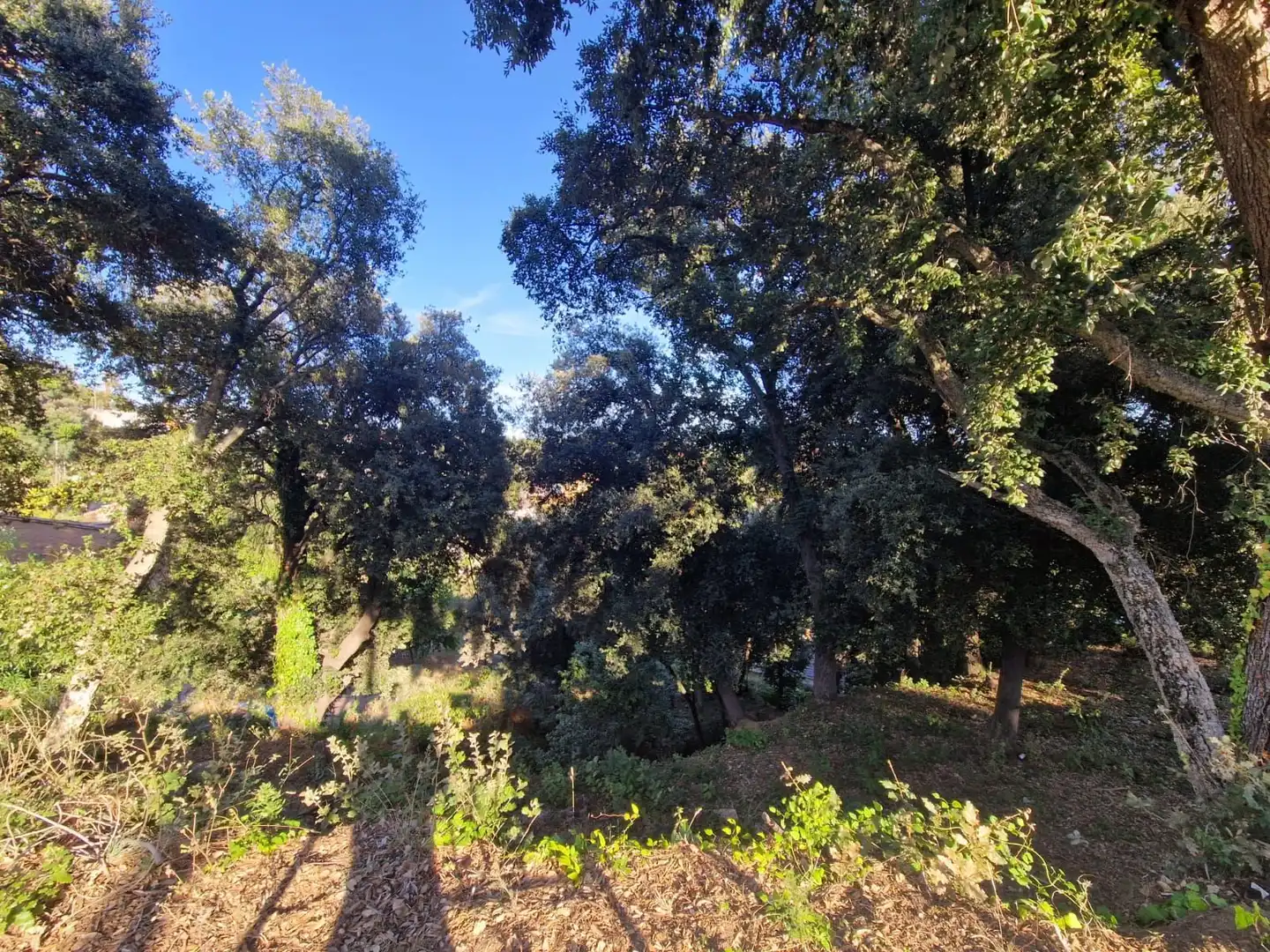 Lands and plots for sale in Can Massuet del Far, imagen 6