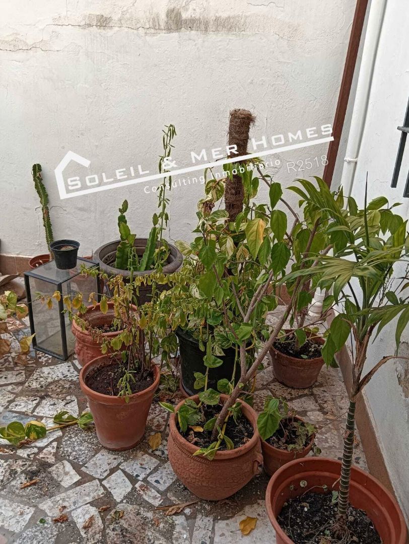 Jardí de Casa o xalet en venda en El Puerto de Santa María