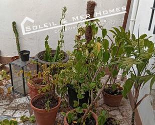 Jardí de Casa o xalet en venda en El Puerto de Santa María