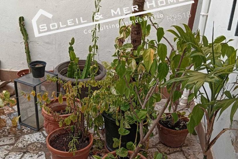 Photo 1 of House or chalet for sale in Carretera de Sanlúcar - Sudamérica, Cádiz