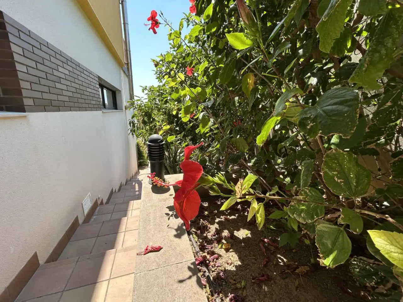 Jardí de Casa o xalet en venda en Cubelles amb Aire condicionat, Calefacció i Jardí privat