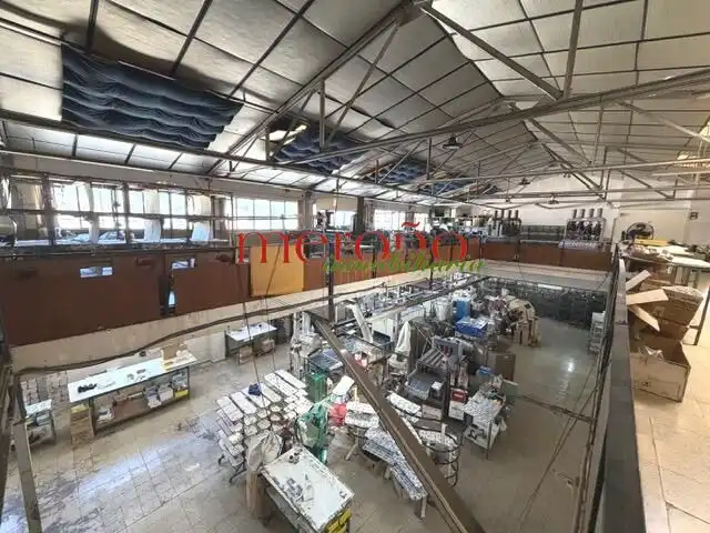 Nau industrial de lloguer en Elche ciudad
