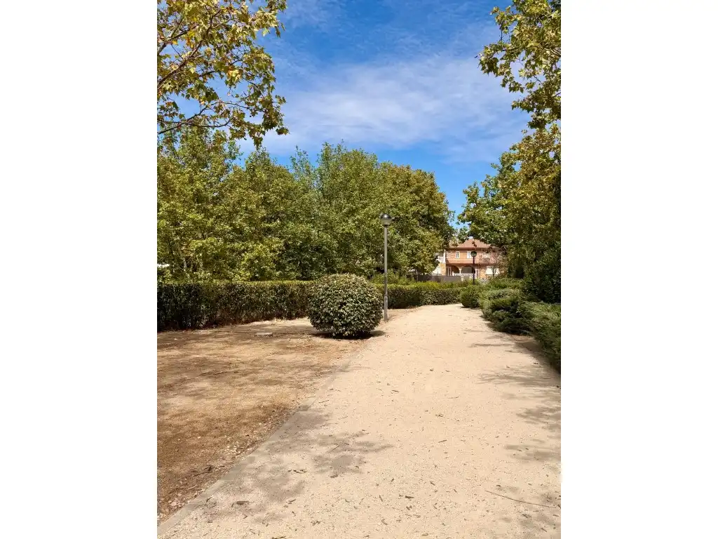 Villa zur Miete in Calle Viña, imagen 41