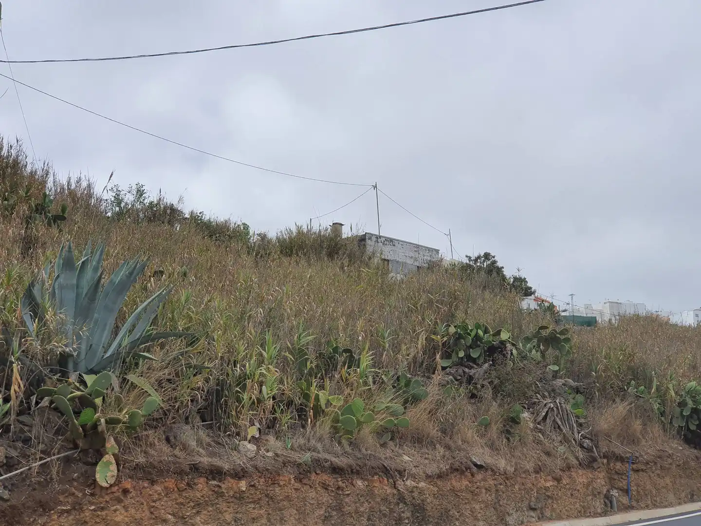Residencial en venda a Moya (Las Palmas), Las Palmas