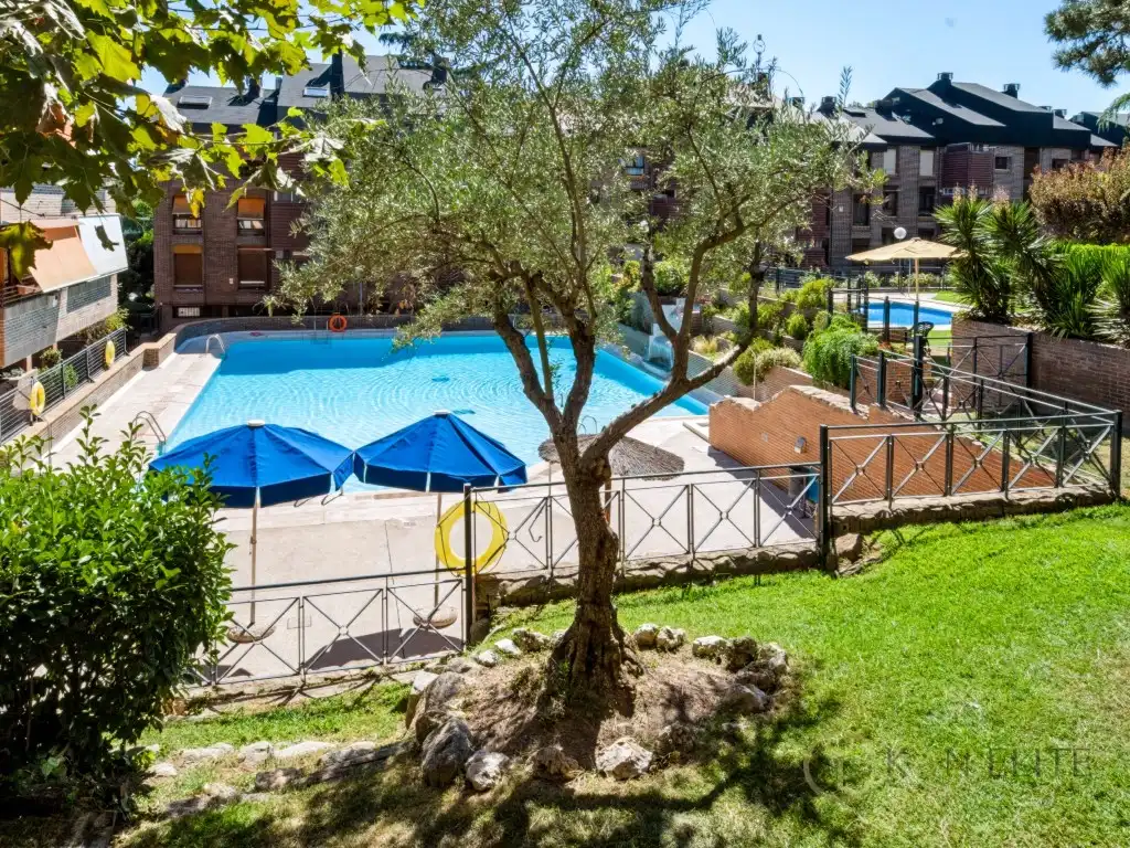 Piscina de Pis de lloguer en Las Rozas de Madrid amb Piscina