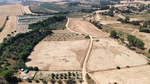 FINCAS RÚSTICAS EN TRIGUEROS, immagine 4
