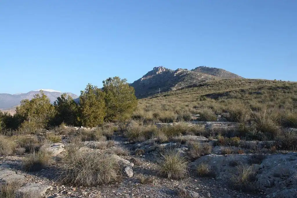 Terreny rústic en venda a FUENTE PEÑA Parc. 536, imagen 5