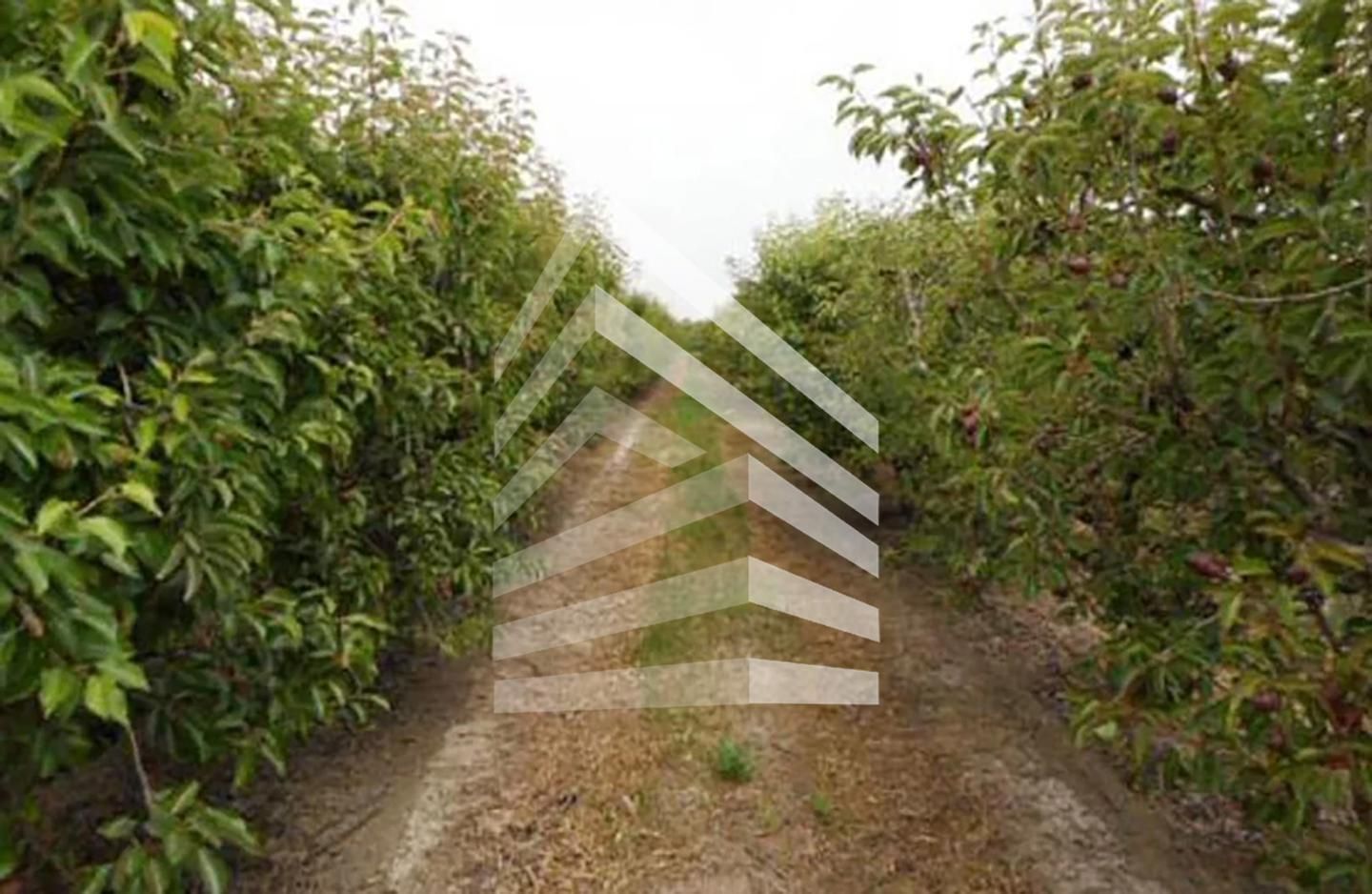 Land for sale in Massalcoreig