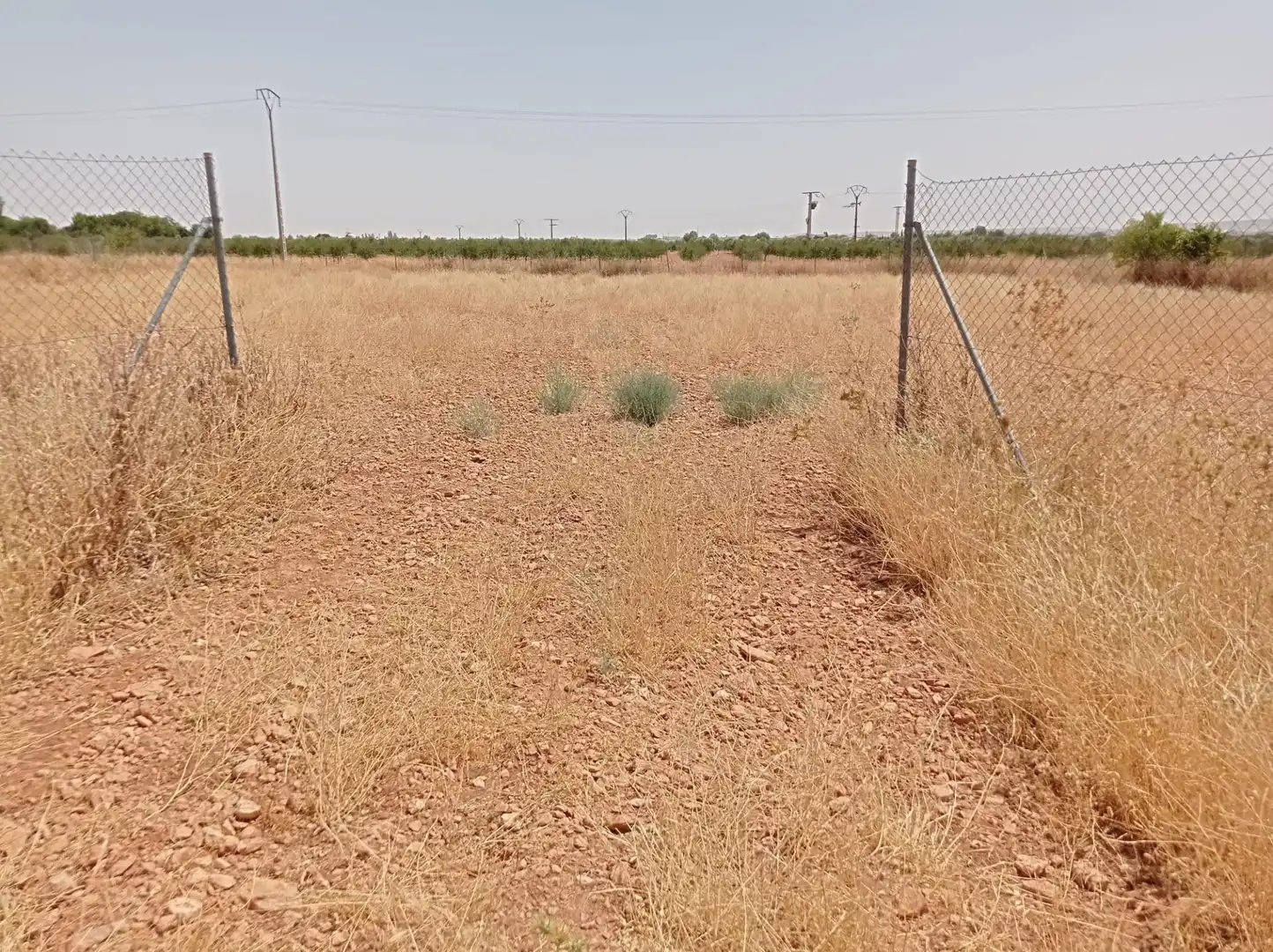 Terreno rustico in vendita a Pozuelo de Calatrava, imagen 10