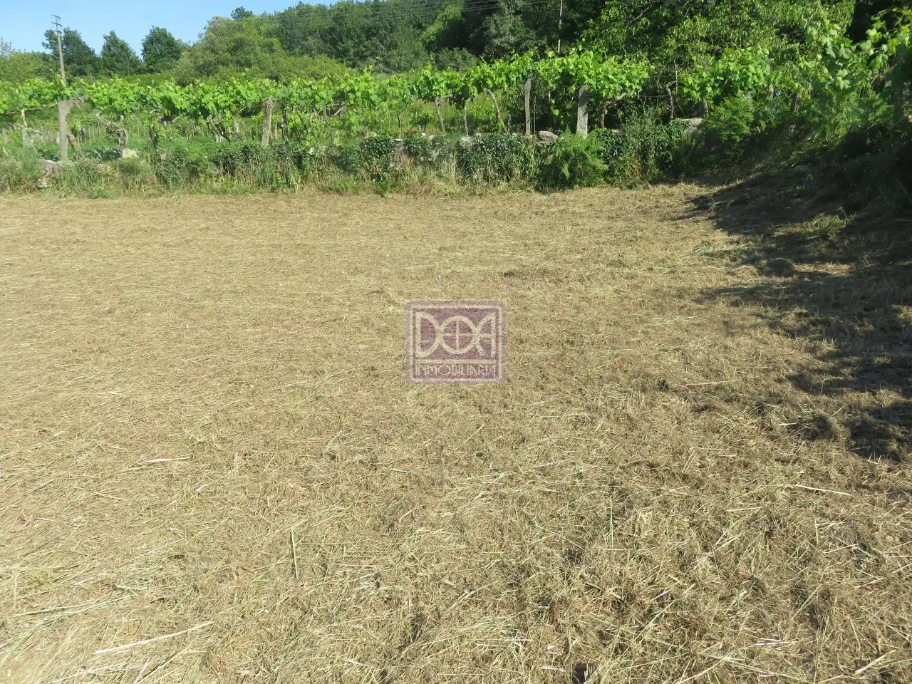 Lands and plots for sale in Mondariz, imagen 10