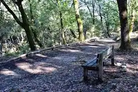 Vista exterior de Finca rústica en venda en Los Barrios amb Calefacció, Jardí privat i Traster
