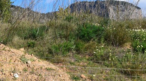 Foto 2 de Residencial en venta en Alaró, Illes Balears