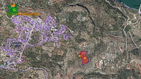 2 Fincas rústicas con mas de 15.000 m2 en total. En Pinos del Valle VENTA JUNTAS o SEPARADAS, imatge 3