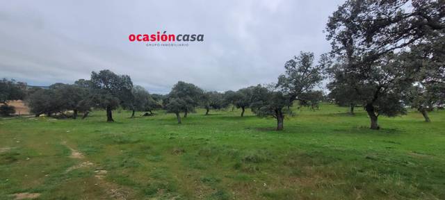 Finca rústica en Venta en Pedroche