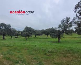 Country house for sale in Pedroche