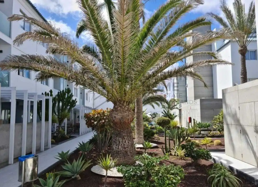 Apartament en venda a Juan Carlos, I, Corralejo