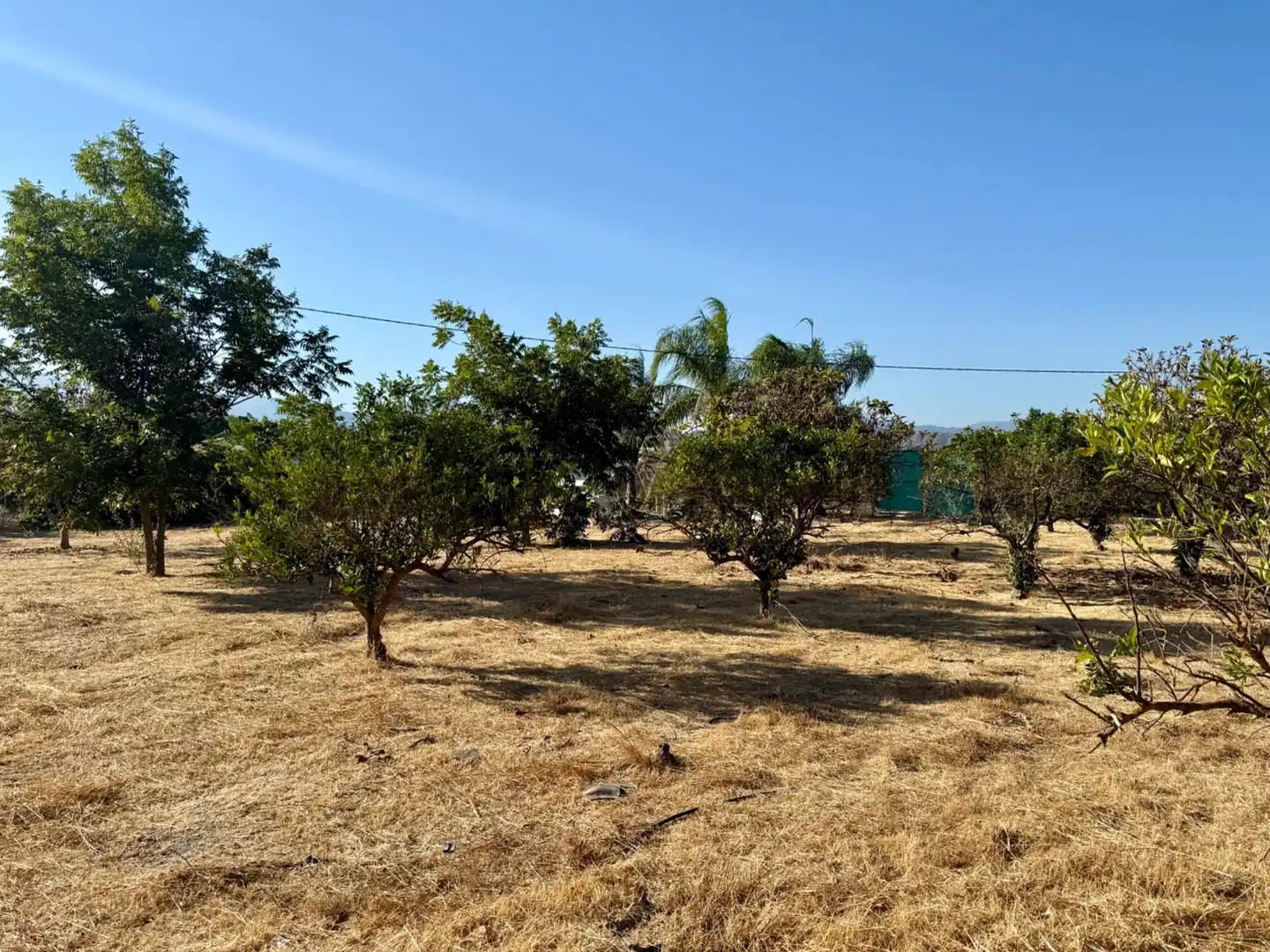 Terrenys i solars en venda a Coín