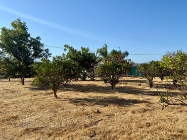 Terreno rustico in vendita a Coín