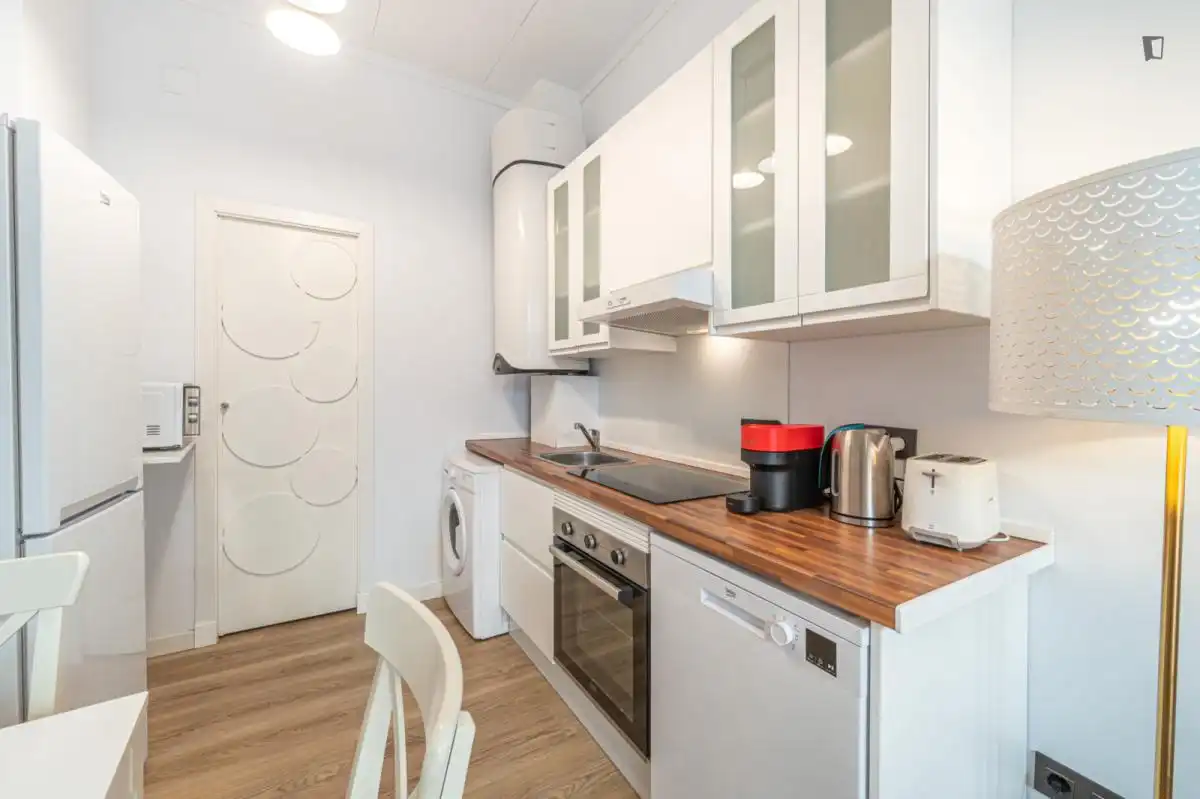 Cuina de Apartament de lloguer en Málaga amb Aire condicionat, Moblat i Forn