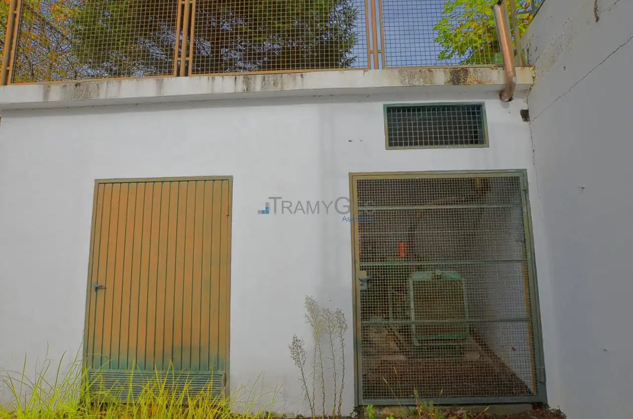 Business premises for sale in A Guarda, imagen 94