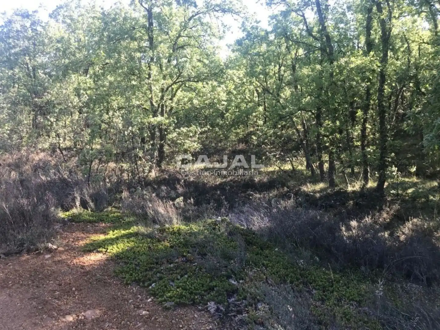 Terreni e lotti in vendita a poligono 6 parcela 6030, imagen 4