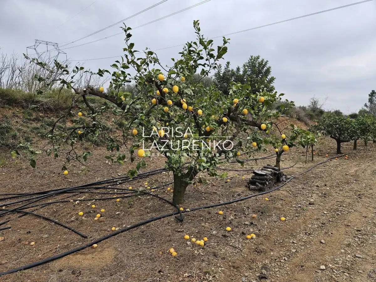 Finca rústica en venda en Riudoms