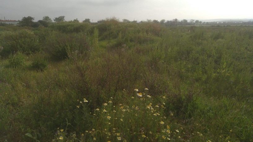 Residential for sale in SECTOR 2, -1, El Coronil